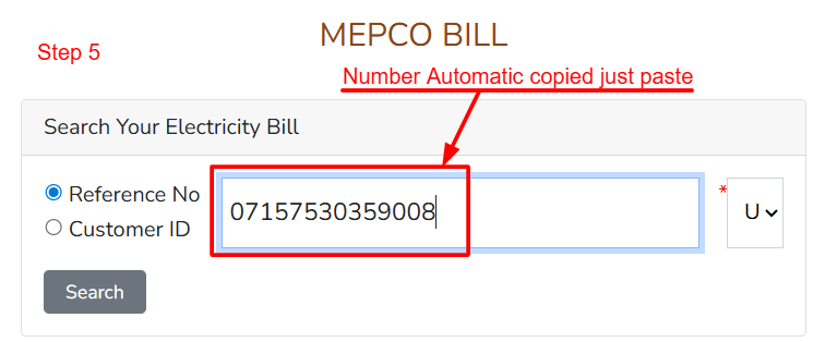 Step 6: If needed, paste the number on the official site